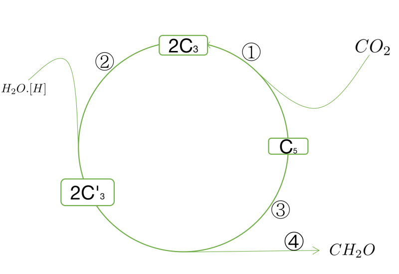 截屏2020-03-18下午2.22.18