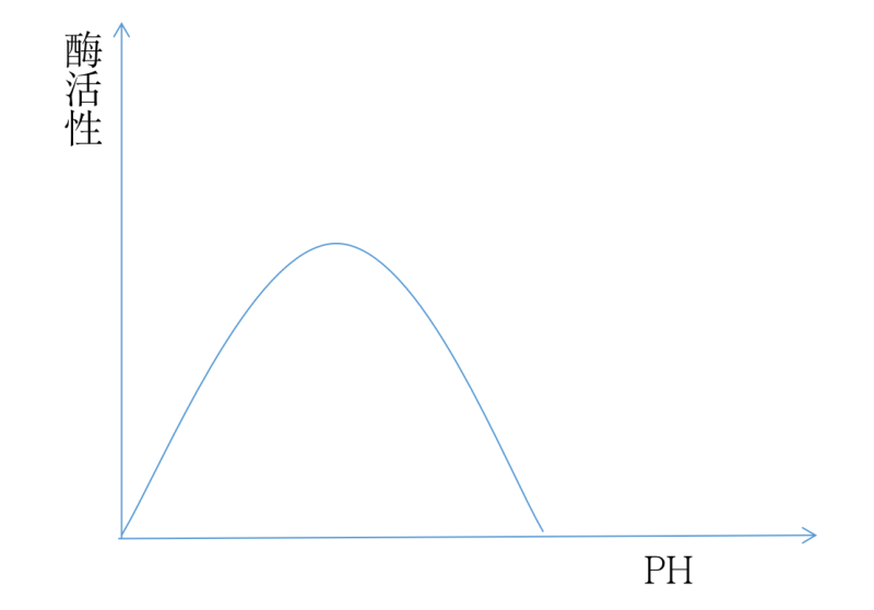 image-20200311141008426